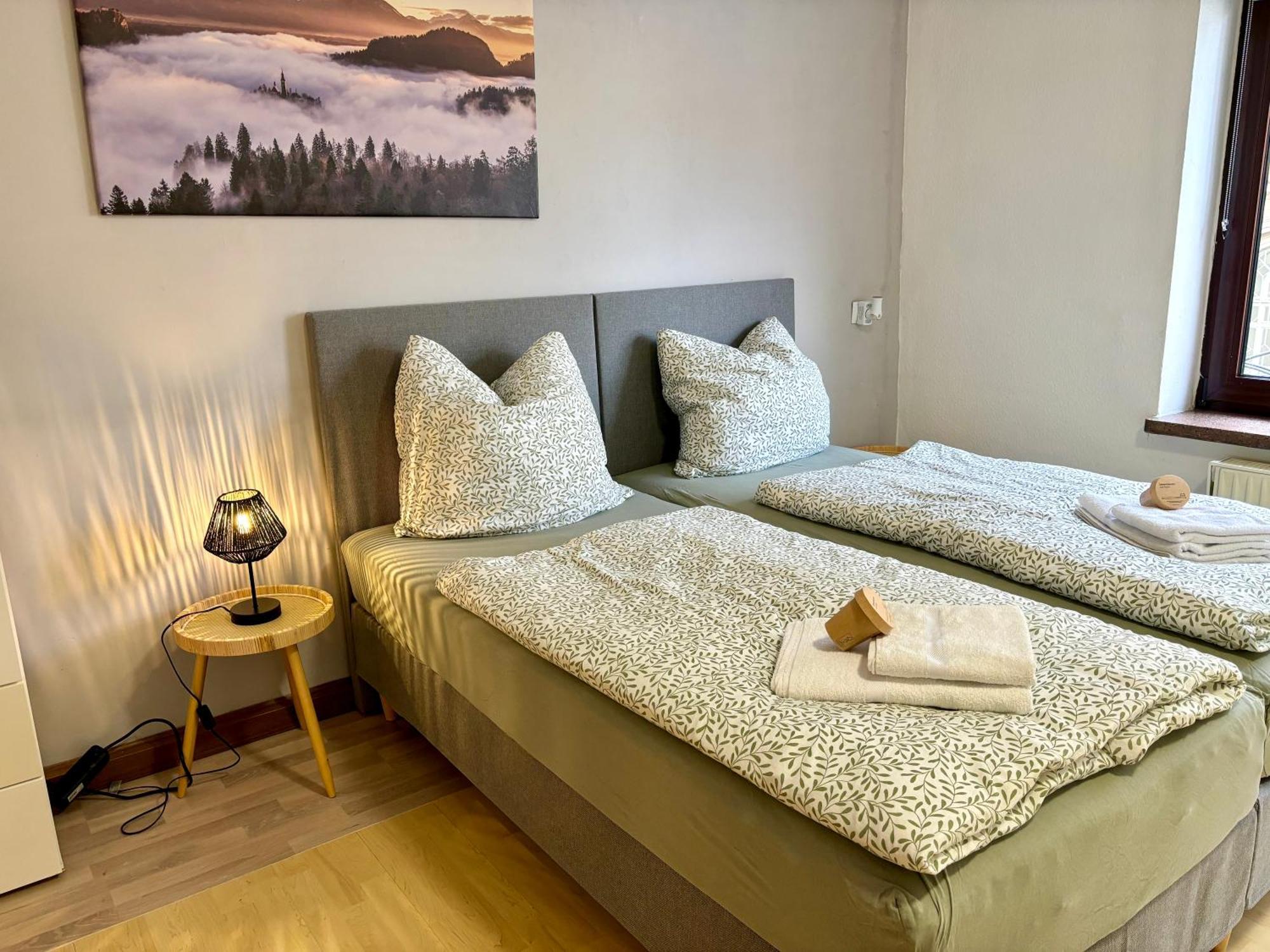 Harmony - Ganzes Appartement 3 Schlafzimmer City Майнинген Экстерьер фото